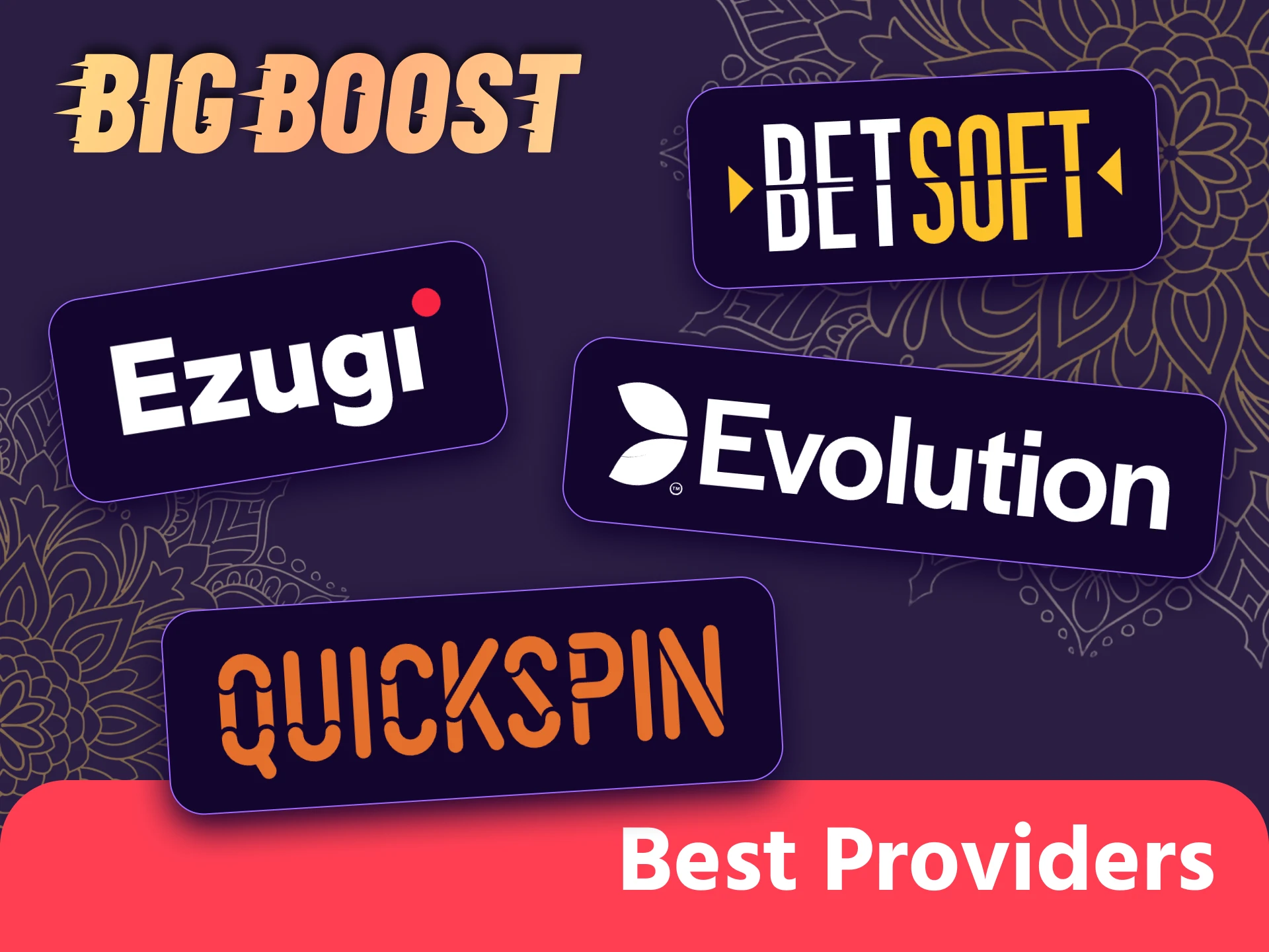 Big Boost platform partners with proven software developers.